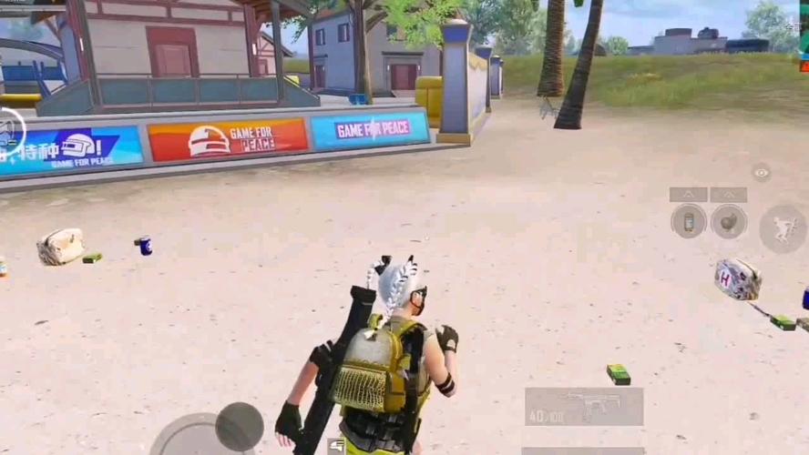 和平精英辅助【飞鸟】